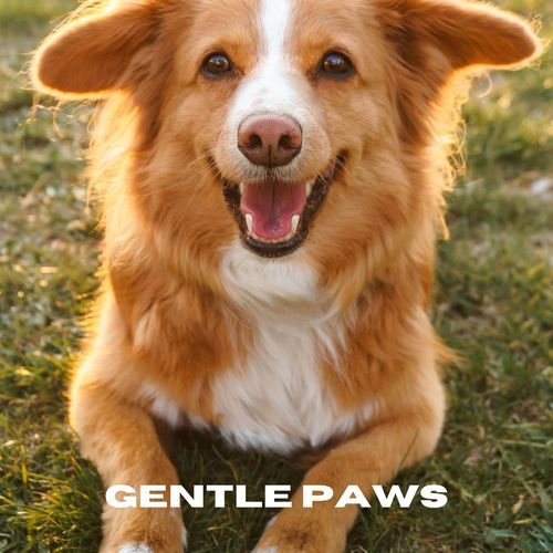 Gentle Paws_poster_image