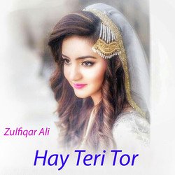 Hay Teri Tor-SF8GCT53RHY