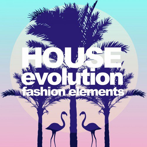 House Evolution (Fashion Elements)