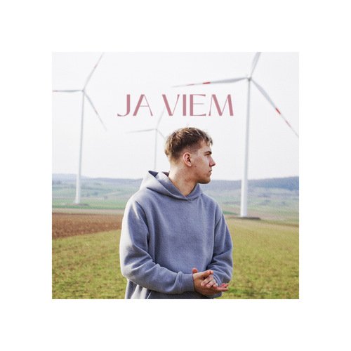 JA VIEM cover art