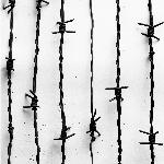 Lang lebe der Tod