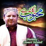 Ek Main Hi Nahi Un Par Qurban Zamana Hai artwork