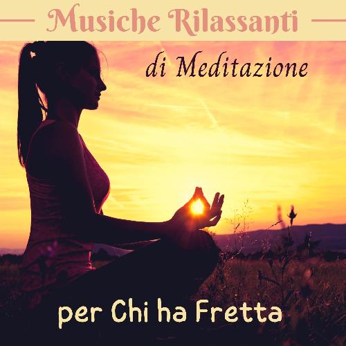 Meditazione sbrigativa cover art