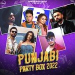 Punjabi Party Box 2022 artwork
