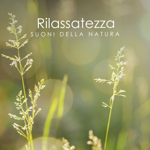 Rilassatezza: Suoni della natura_poster_image