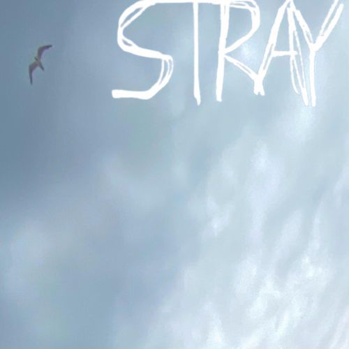 STRAY (feat. FoxTaleFire)_poster_image