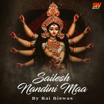 Sailesh Nandini Maa