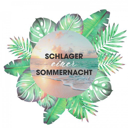 Schlager einer Sommernacht