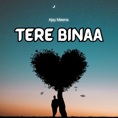 Tere Binaa