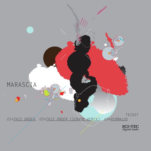 This Order (Sebrok Remix) cover art