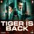 Tiger Is Back