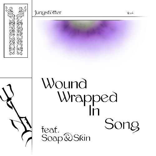 Wound Wrapped In Song_poster_image