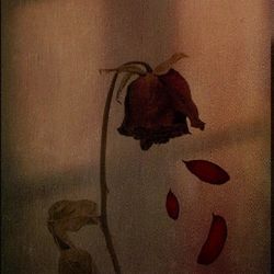 hoke tetho duur mein, khoya apne aap nu