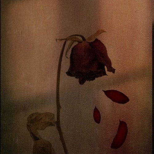 hoke tetho duur mein, khoya apne aap nu