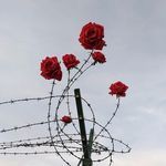 tu aata nahi, sapno se jata nahi