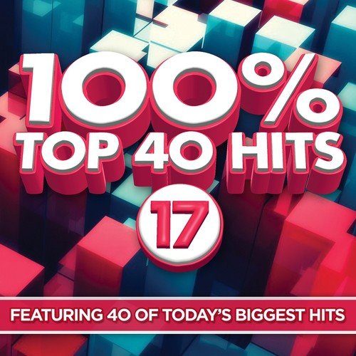 100% Top 40 Hits 17_poster_image