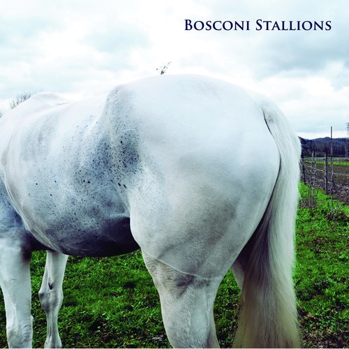 Bosconi Stallions Compilation - Celebrating 5 Years of Bosconi Records