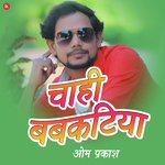 Chahi Babkatiya artwork