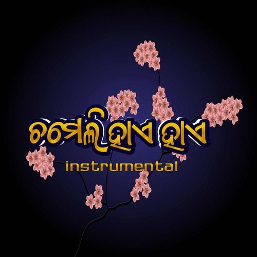 Chameli Hae Hae cover art