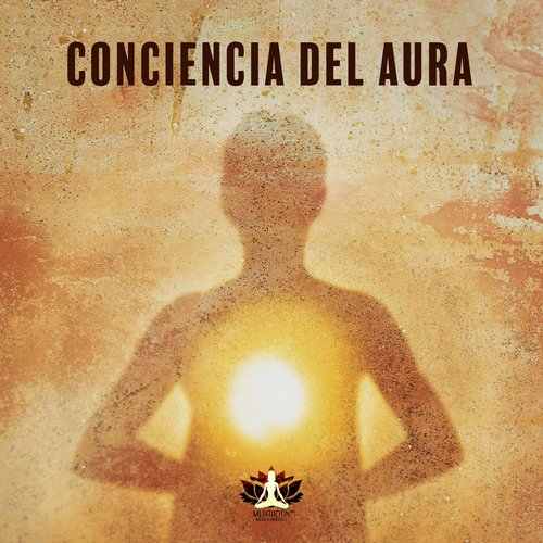 Salud Mental cover art