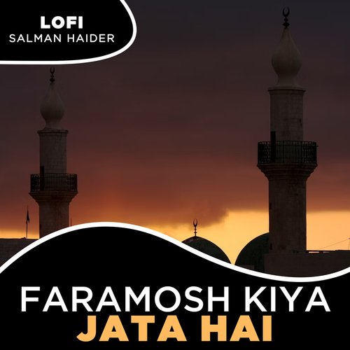 Faramosh Kiya Jata Hai Lofi