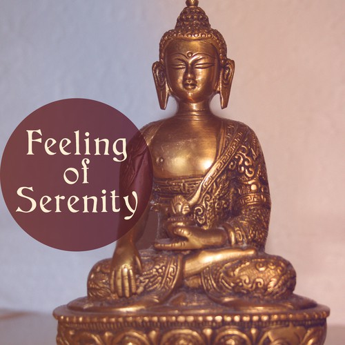 Feeling of Serenity (Soothing Music for Mind & Body, Relaxing Sounds, Spa & Yoga, Meditation Moods, Soft Sleep Sounds)