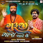 Guruji Mara Aave Che