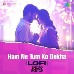 Ham Ne Tum Ko Dekha - Lofi