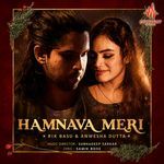 Hamnava Meri
