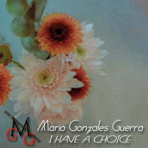 I Have a Choice cover art