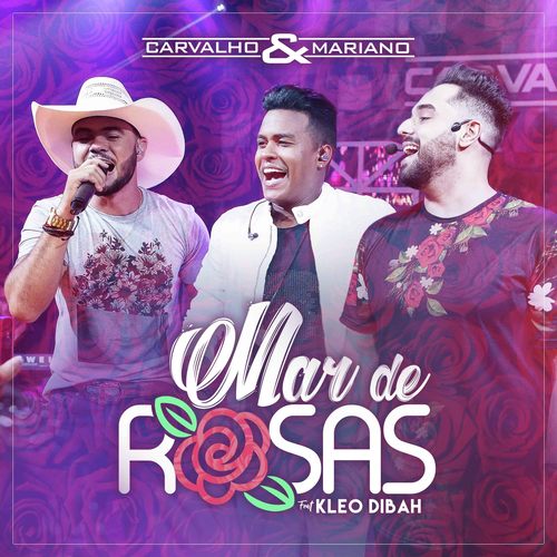 Mar De Rosas_poster_image