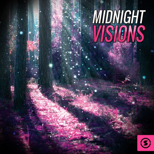 Midnight Visions