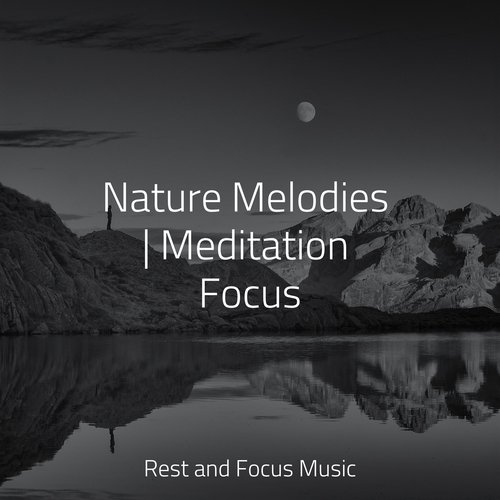 Nature Melodies | Meditation Focus_poster_image