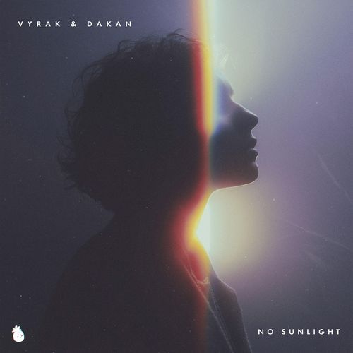 No Sunlight