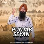 Punjab Seyan