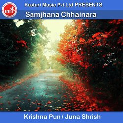 Krishna Pun