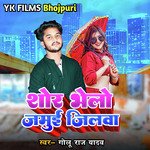 Shor Bhelo Jamui Jilwa