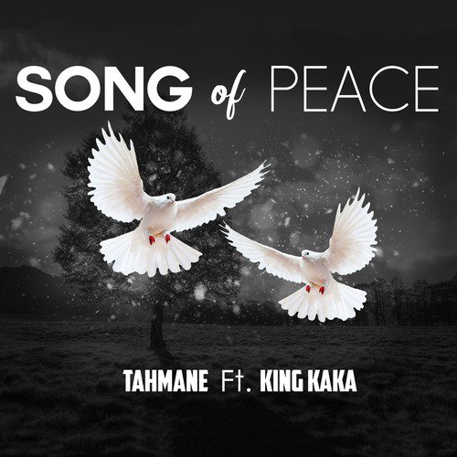 Song of Peace (feat. King Kaka)