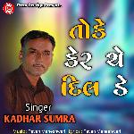 TO K KER CHE DIL DE artwork