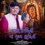 Tara Tarini Maa Dukha Harini artwork