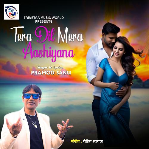 Tera Dil Mera Aashiyana (Hindi)