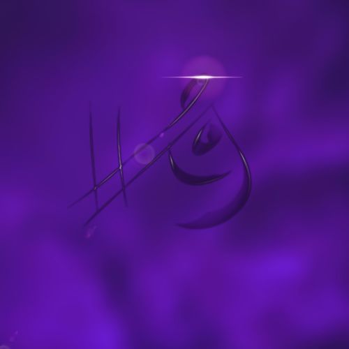 Litek cover art