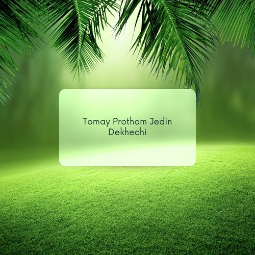 Tomay Prothom Jedin Dekhechi