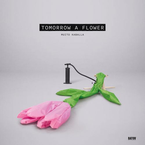 Roses + Butter + Flies cover art