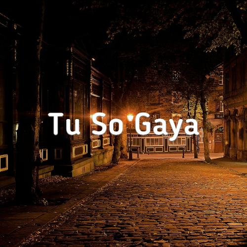 Tu So Gaya