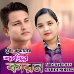 Tui Je Amar Shantir Karon