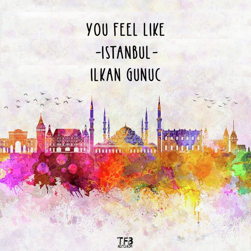 You Feel Like Istanbul_poster_image