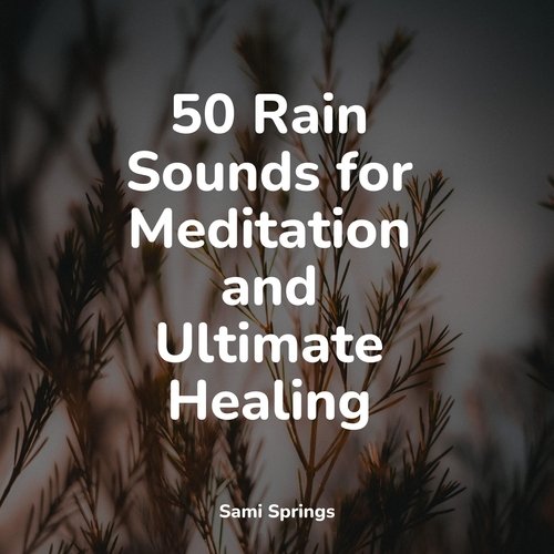 50 Rain Sounds for Meditation and Ultimate Healing