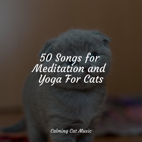 50 Songs for Meditation and Yoga For Cats