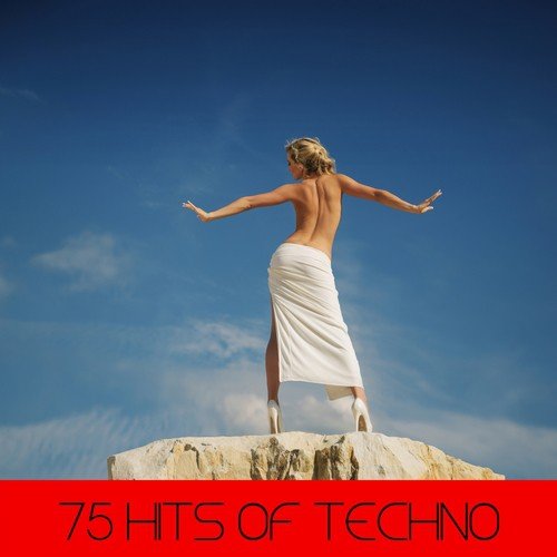 75 Hits Of Techno